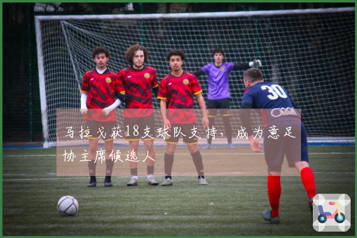 马拉戈获18支球队支持，成为意足协主席候选人