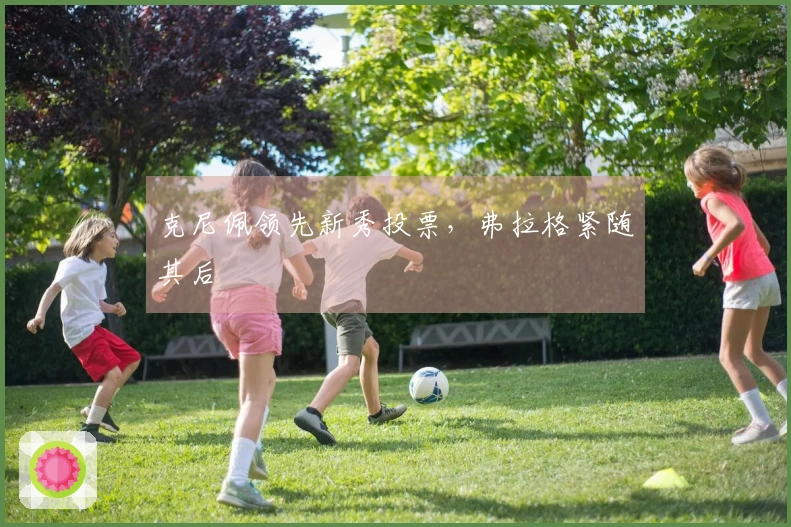 克尼佩领先新秀投票，弗拉格紧随其后
